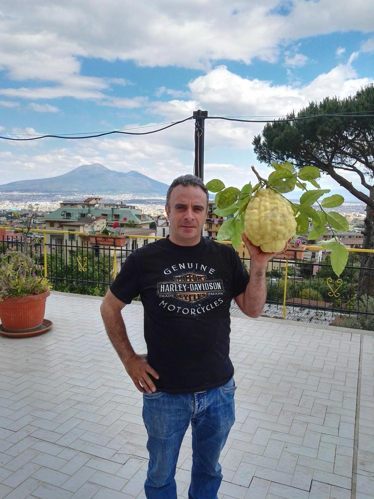 B&B Il Limoneto Gragnano Exterior photo